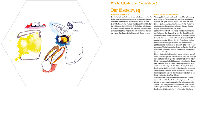 Bienenweg vorlage web 02205