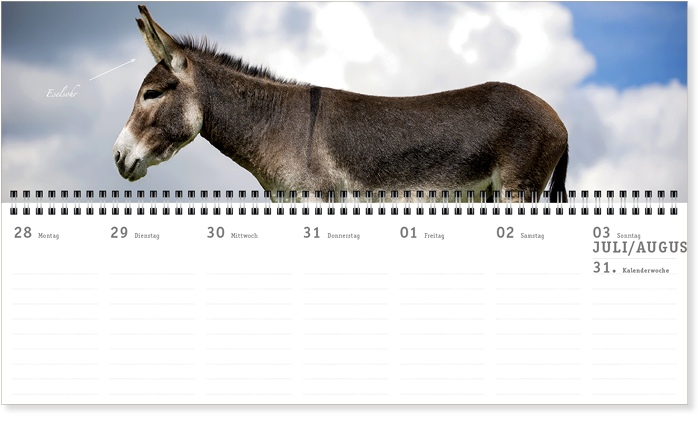 Wochenplaner 14 Kalender4